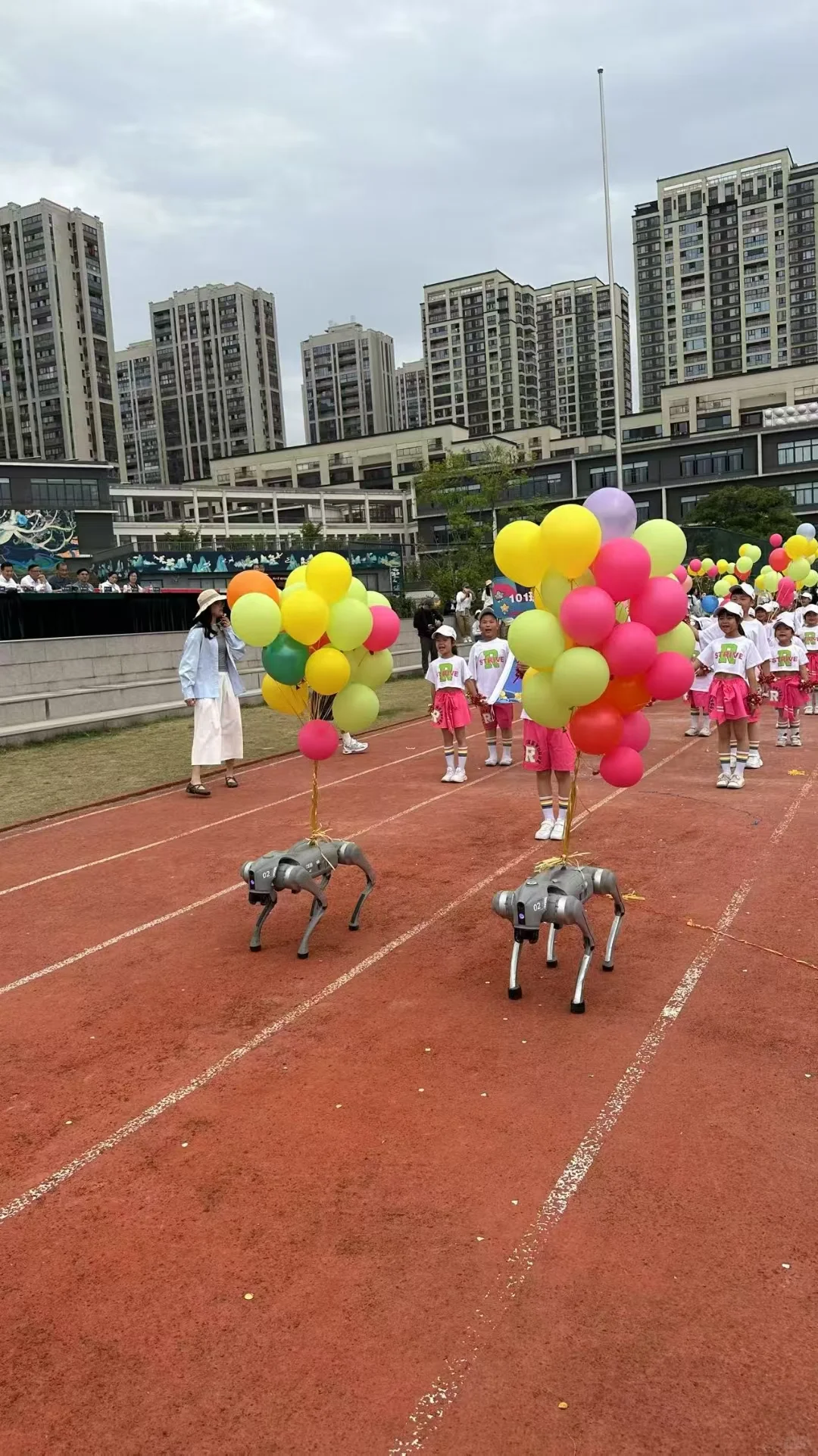 灵动科技狗