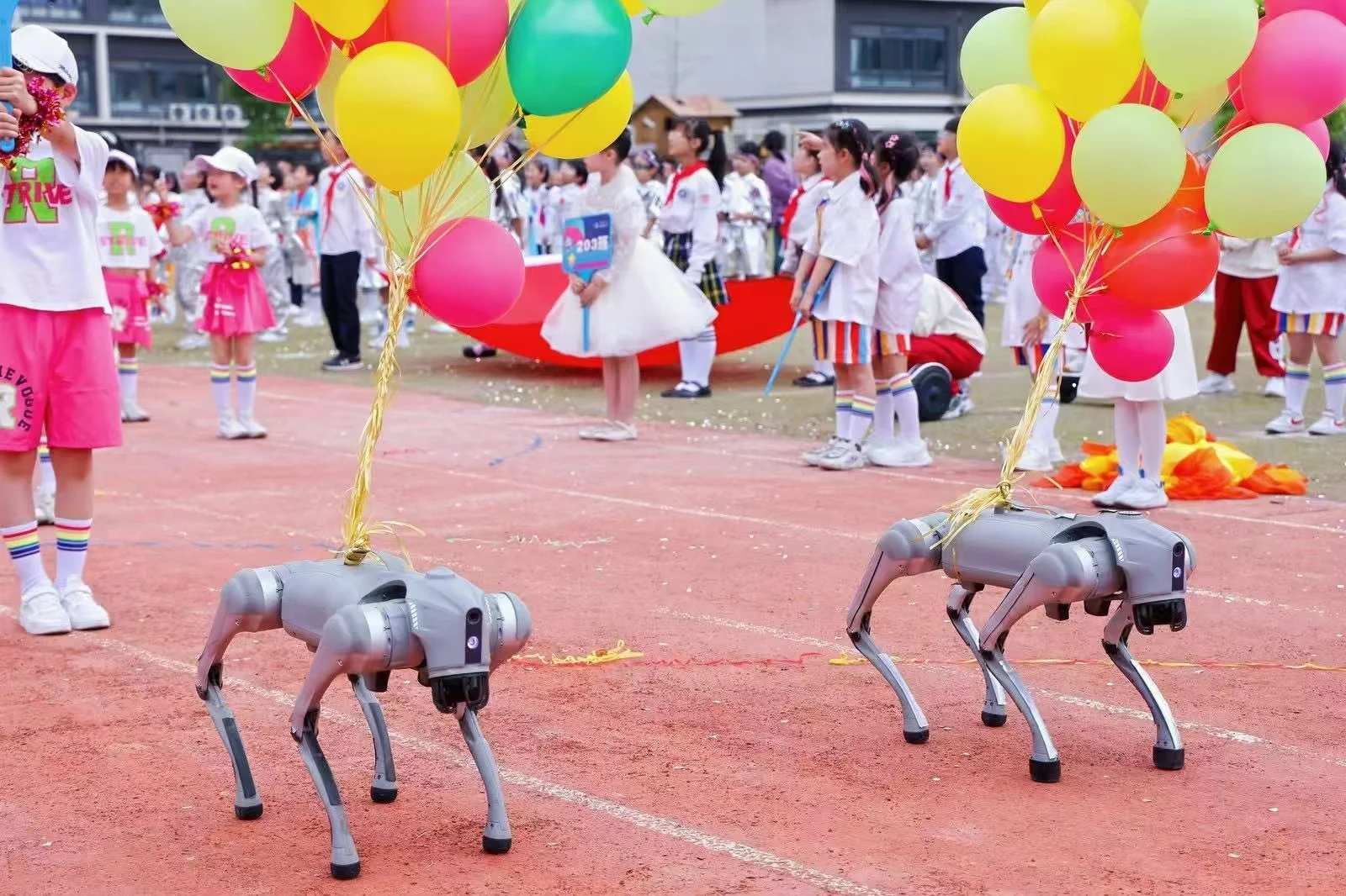 学校科技节互动